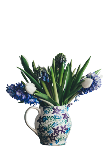 Plants_11